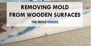 How To Get Rid Of Mold On Wood (1 Safe Hack!) - The Mold Insider
