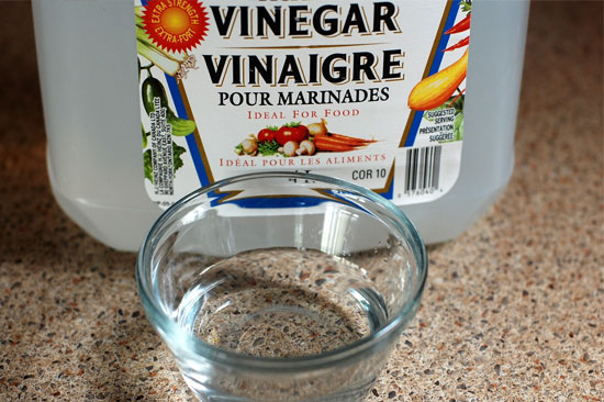 How To Get Rid Of Mold (3 Actionable Steps) - The Mold Insider