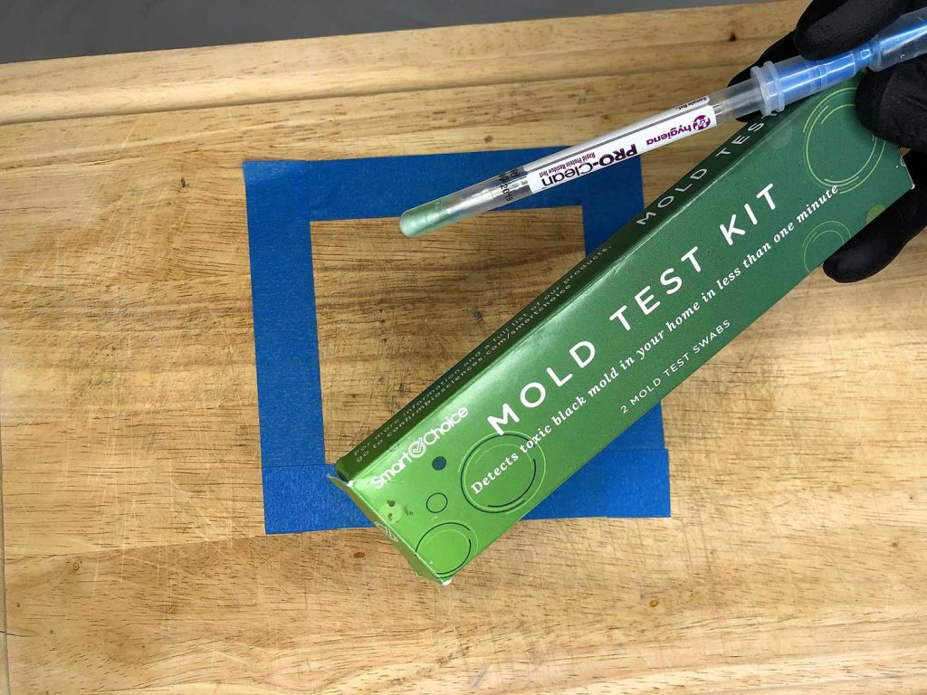 The Best DIY Mold Test Kits (2023 Lab Results) Are They Worth It