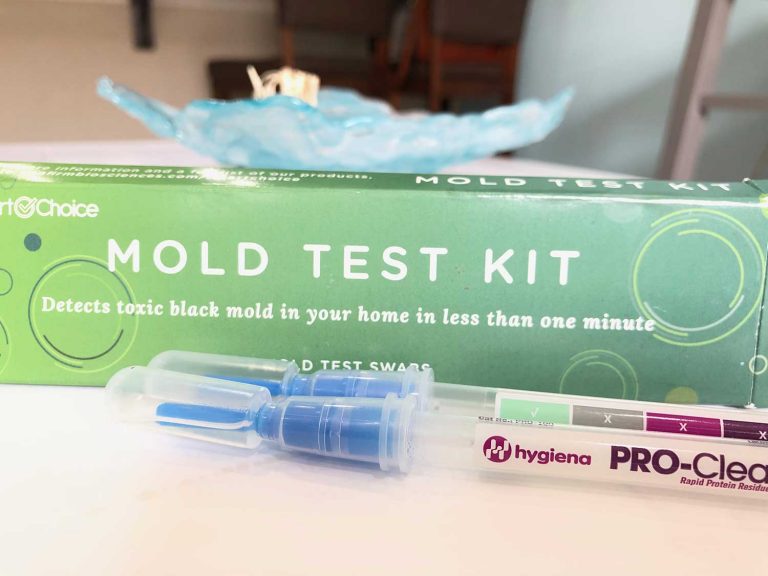 The Best DIY Mold Test Kits (2023 Lab Results) Are They Worth It