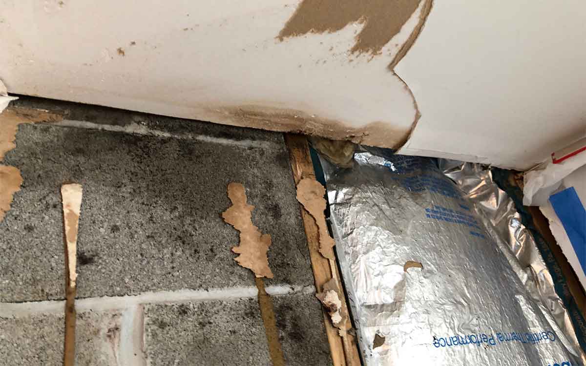 Mold and Real Estate How Mold Infestation Affects Your Home's Value
