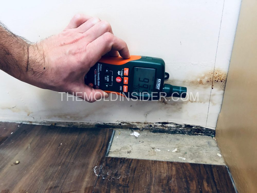 How To Remove Mold Behind Baseboards and Floor Trim The Mold Insider