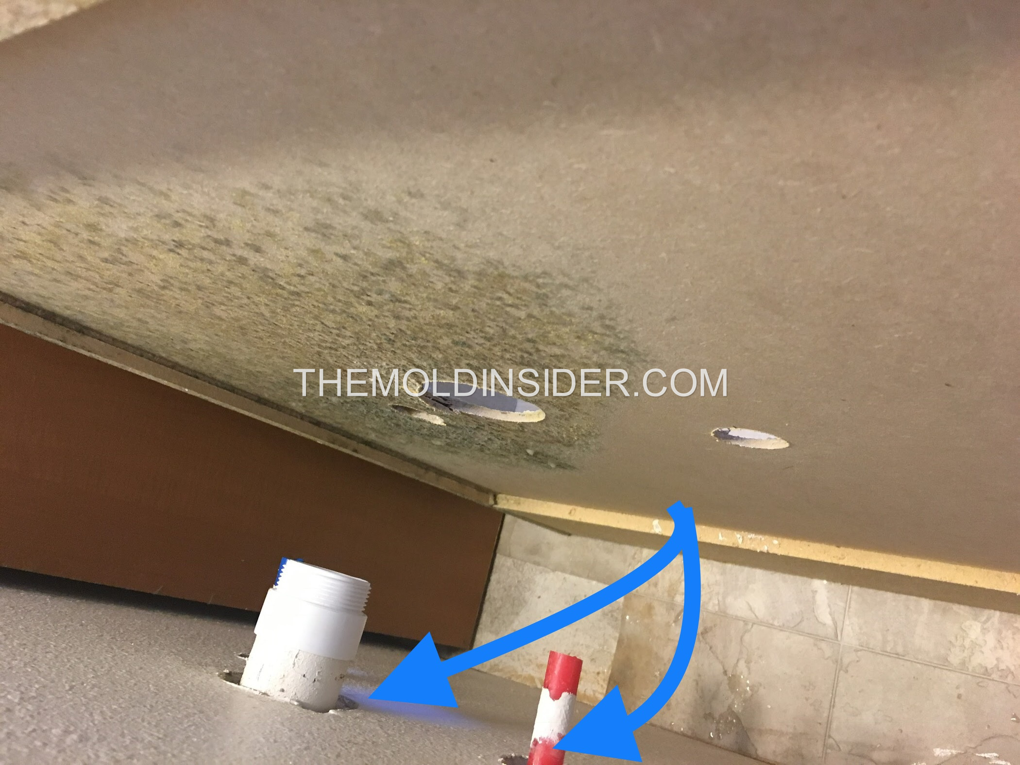 How We Got Rid of Mold in Bathroom (Step By Step) The Mold Insider