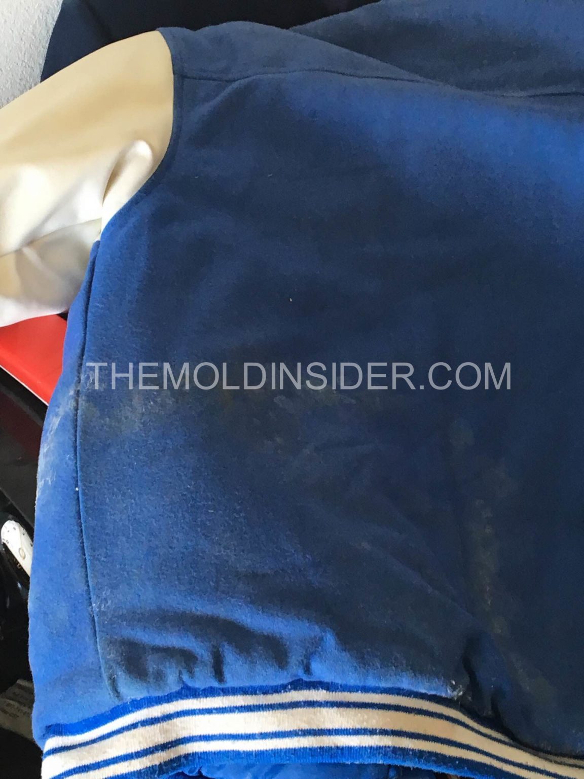 How To Remove Mold From Bedding, Upholstered Furniture & More Home