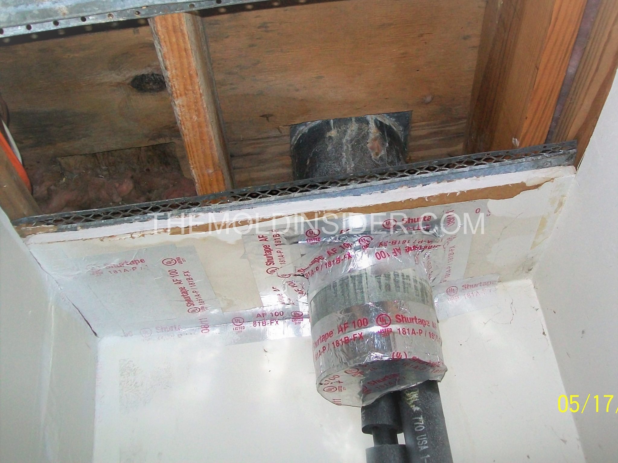 How To Get Rid Of Mold In The Attic (DIY Steps) The Mold Insider