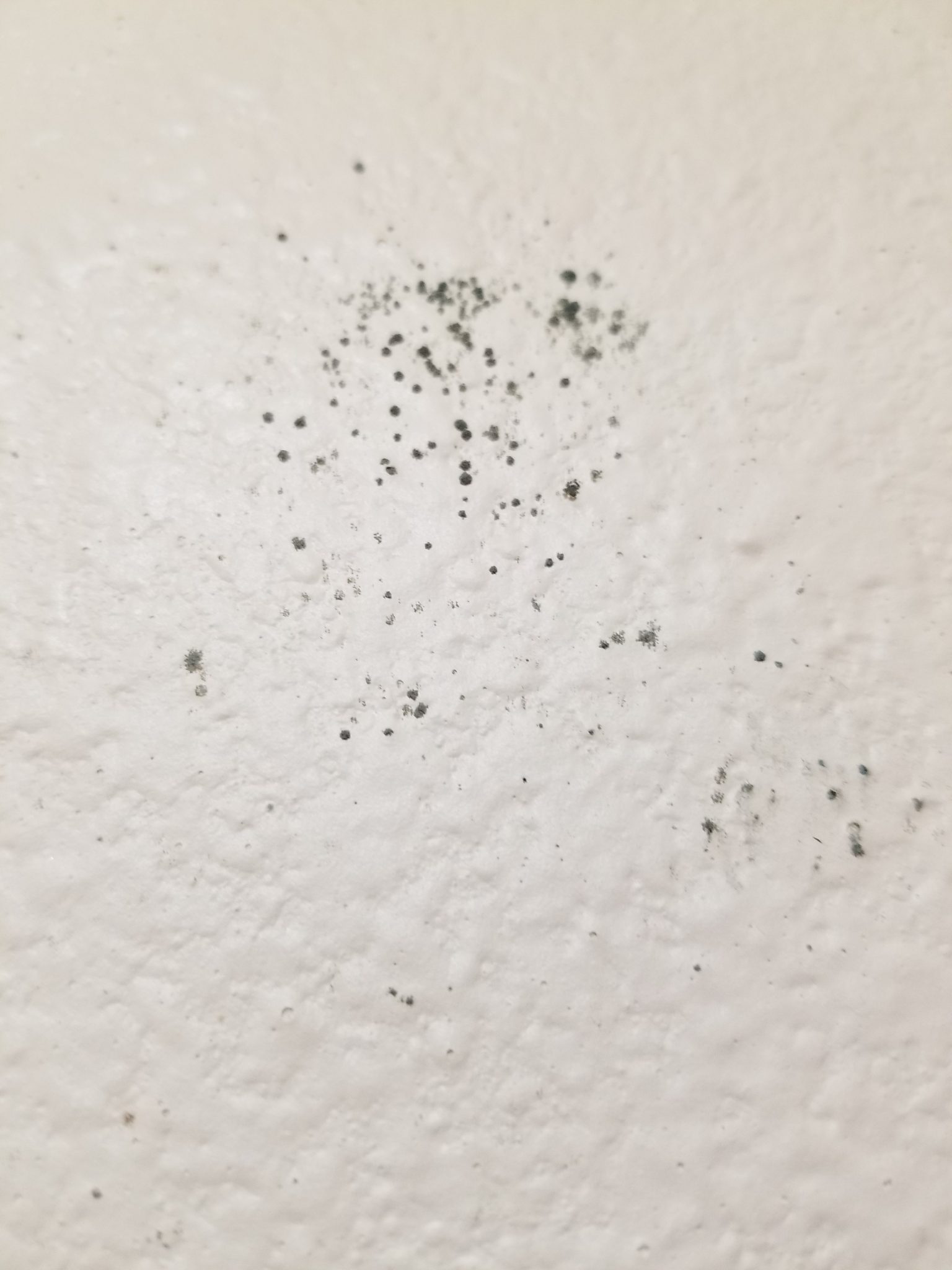 11 Tips Checklist For Mold in Hotel Room (Great For Travelers) The Mold Insider